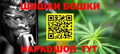 крисы Будённовск