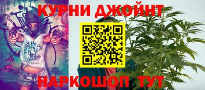 крисы Будённовск