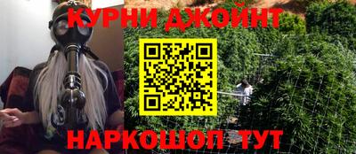 крисы Будённовск