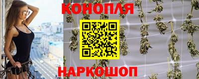 крисы Будённовск
